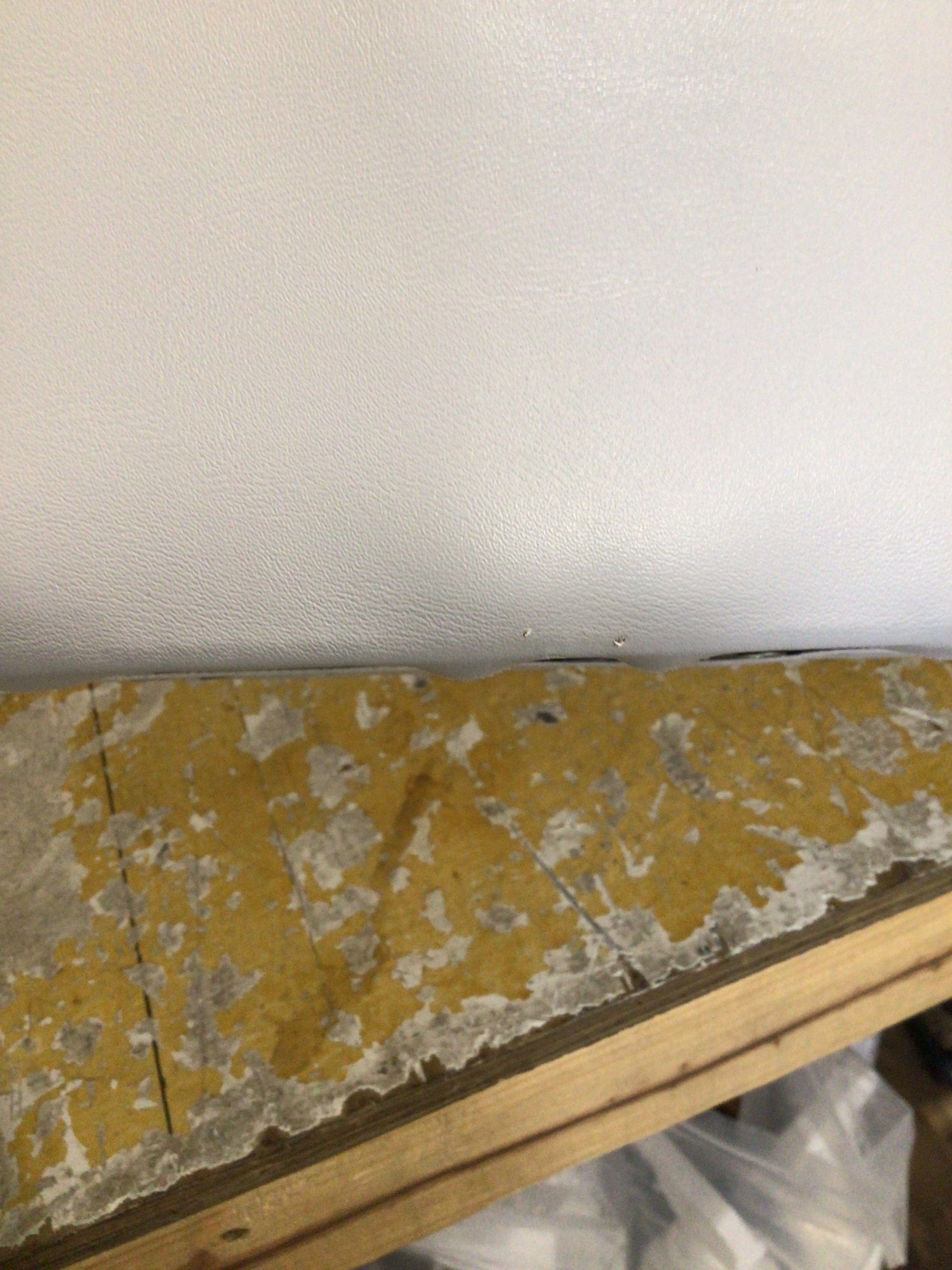 CLEARANCE ITEM CL-A521 | 30" Classic Pontoon Back Corner Cushion Only | C30-200