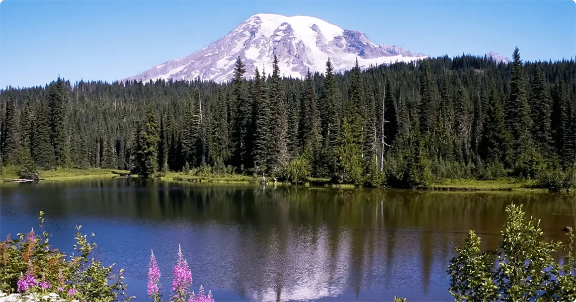 Lake with trees and a mountain in the background