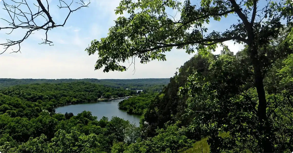 Scenic view of a lake surrounded by trees with a clear blue sky.